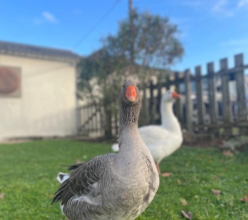 Photo of Others in Adriers