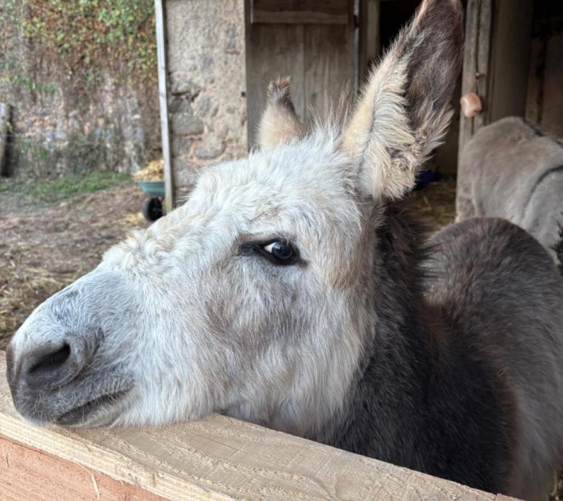 Photo of Others in Adriers