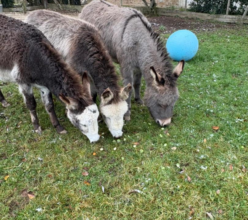 Photo of Others in Adriers