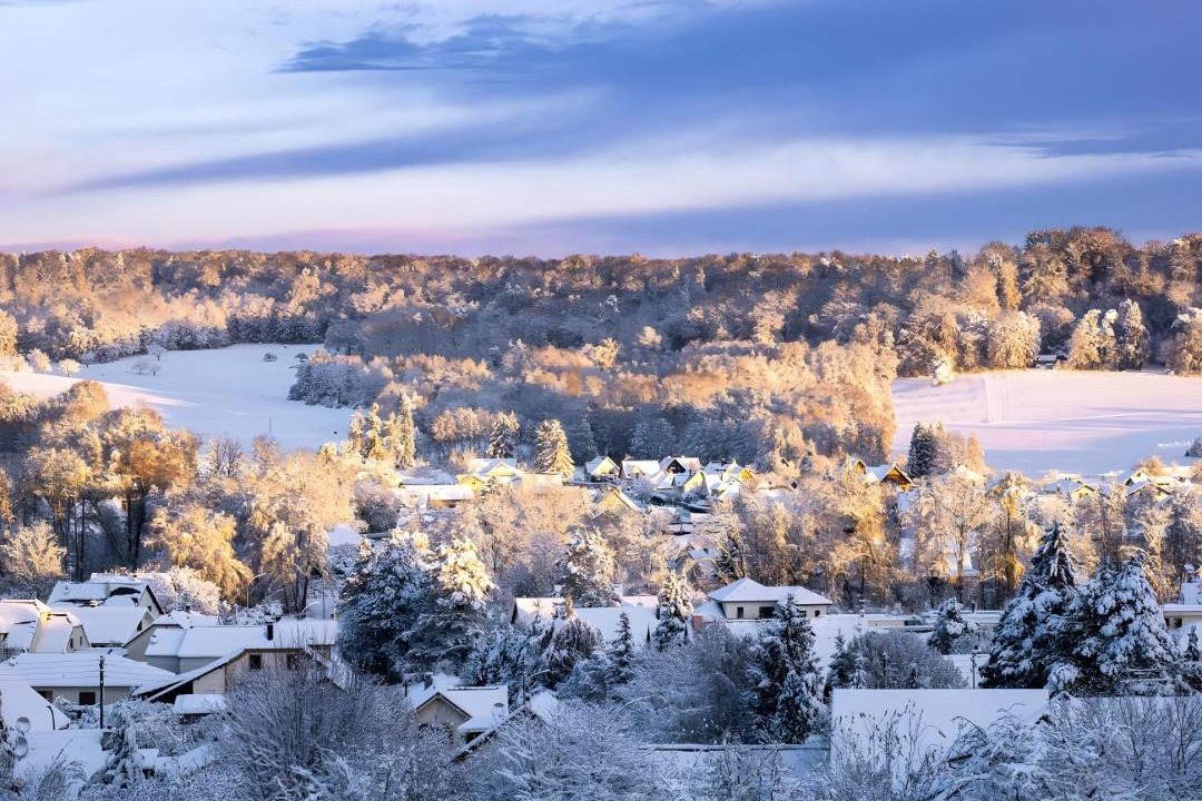 Photo of Others in Leymen