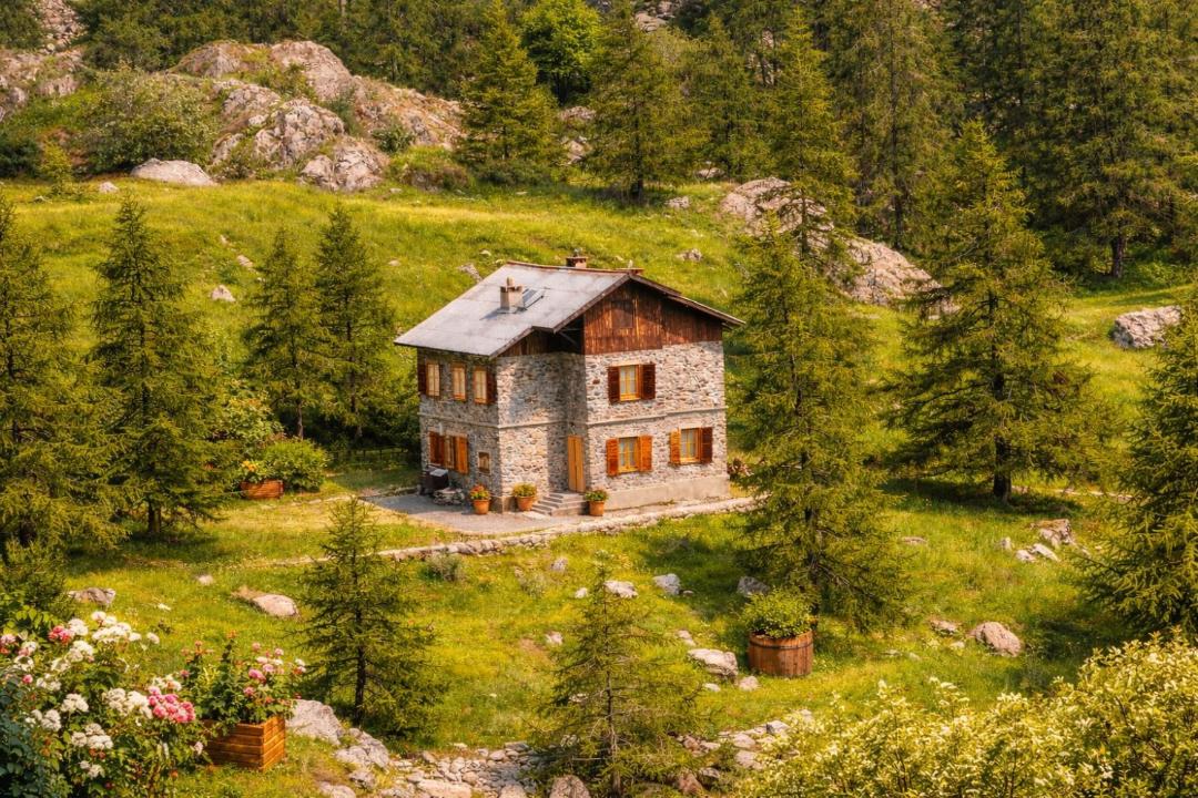 Photo of Others in Belvedere