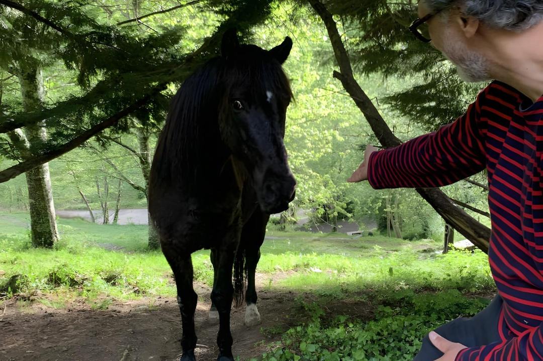 Photo of Others in Osse-en-Aspe