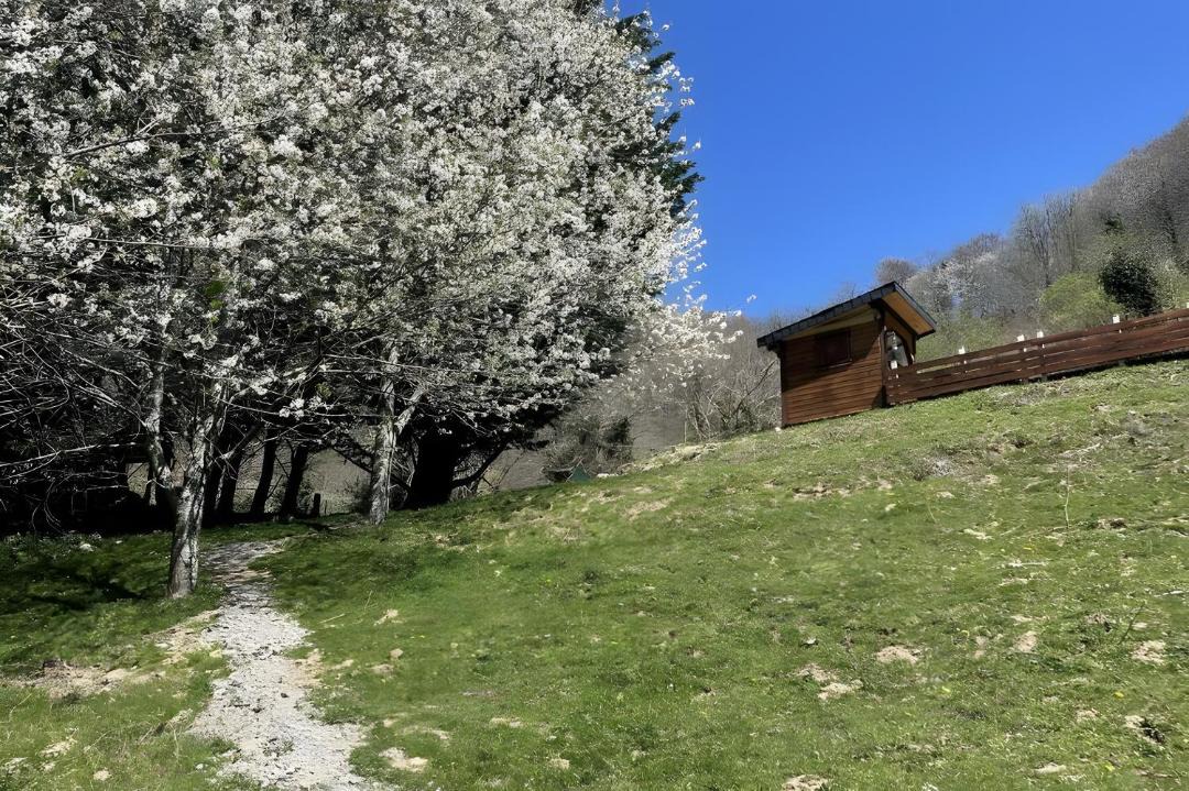 Photo of Others in Osse-en-Aspe