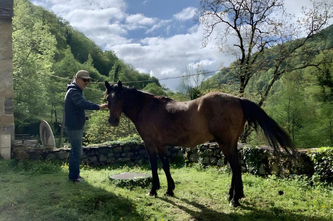 Photo of Others in Osse-en-Aspe