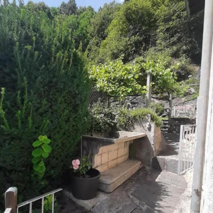 Photo of Others in Negrentino