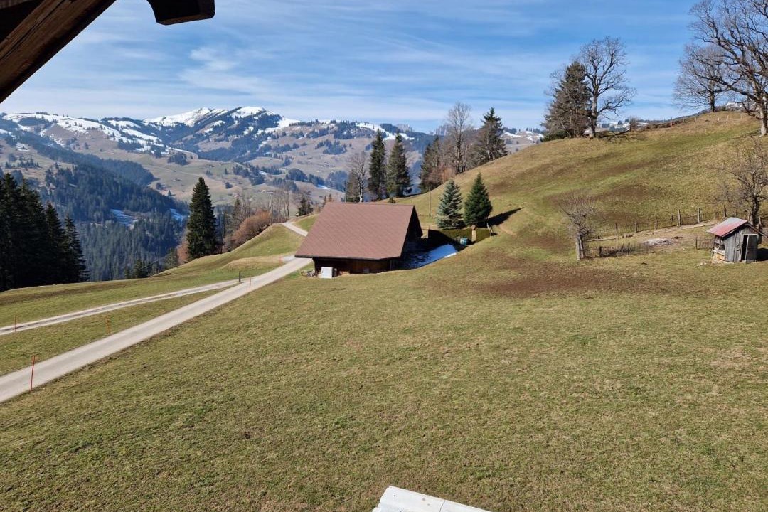 Photo of Others in Zweisimmen
