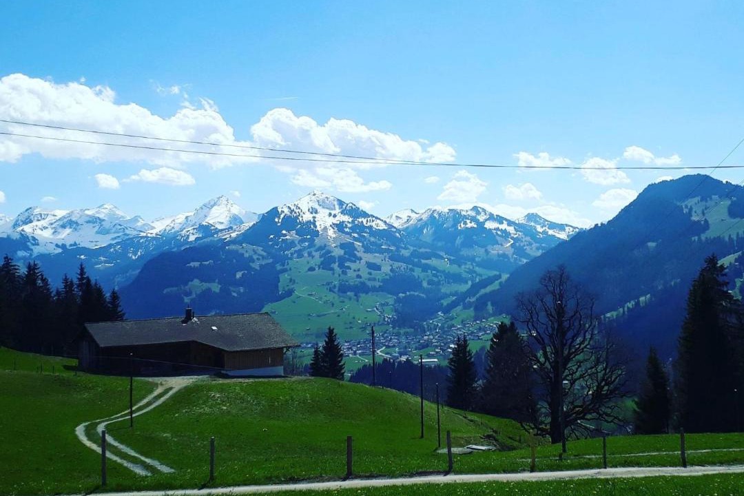 Photo of Others in Zweisimmen
