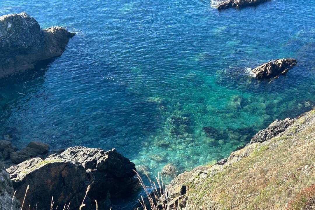 Photo of Others in Telgruc-sur-Mer