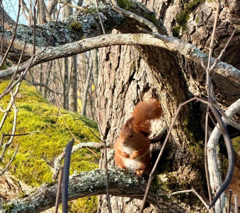 Photo of Others in Brive-la-Gaillarde