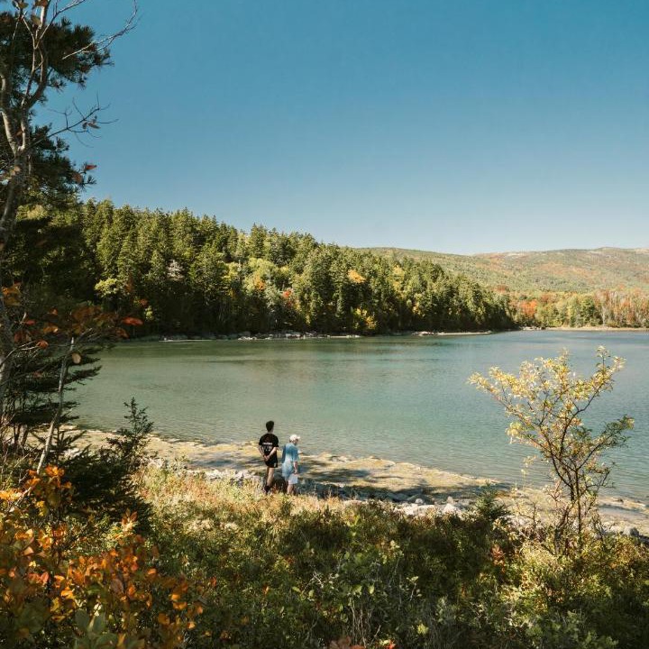 Photo of Others in Brooksville