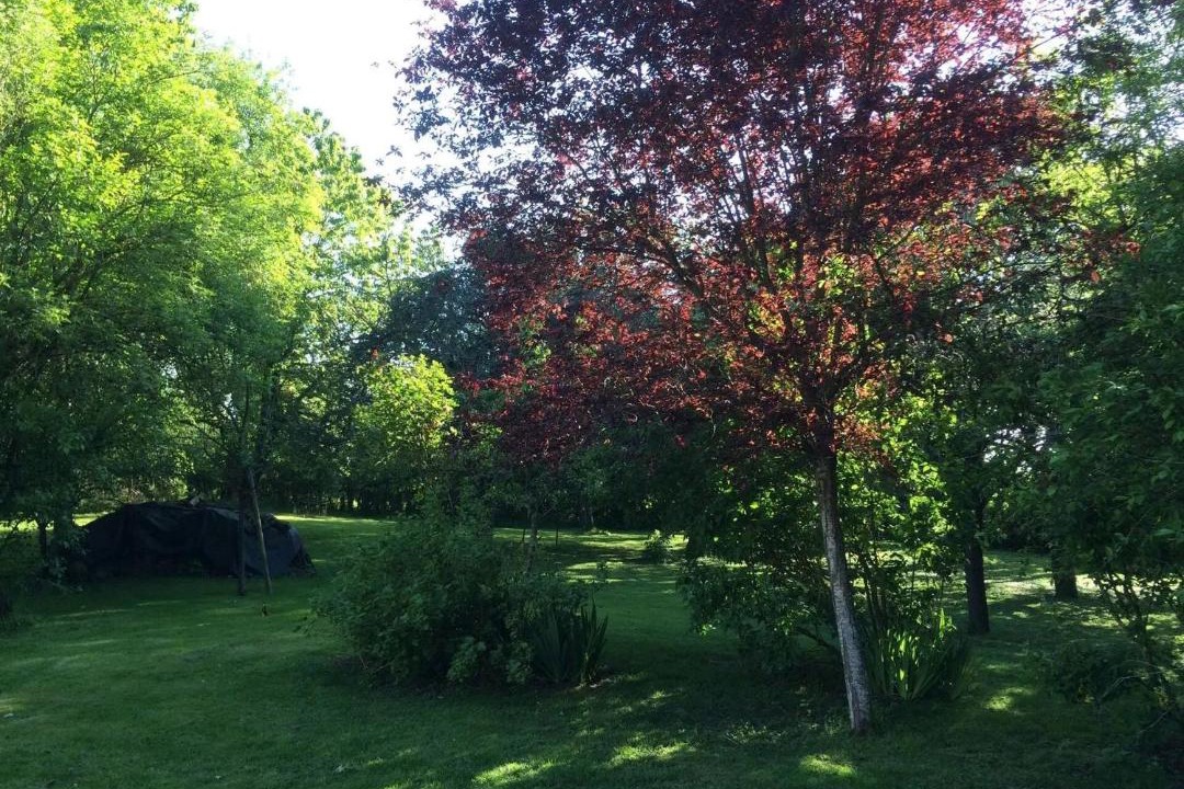 Photo of Outdoor in Bannost