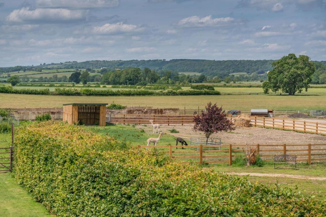 Photo of Others in Scawton