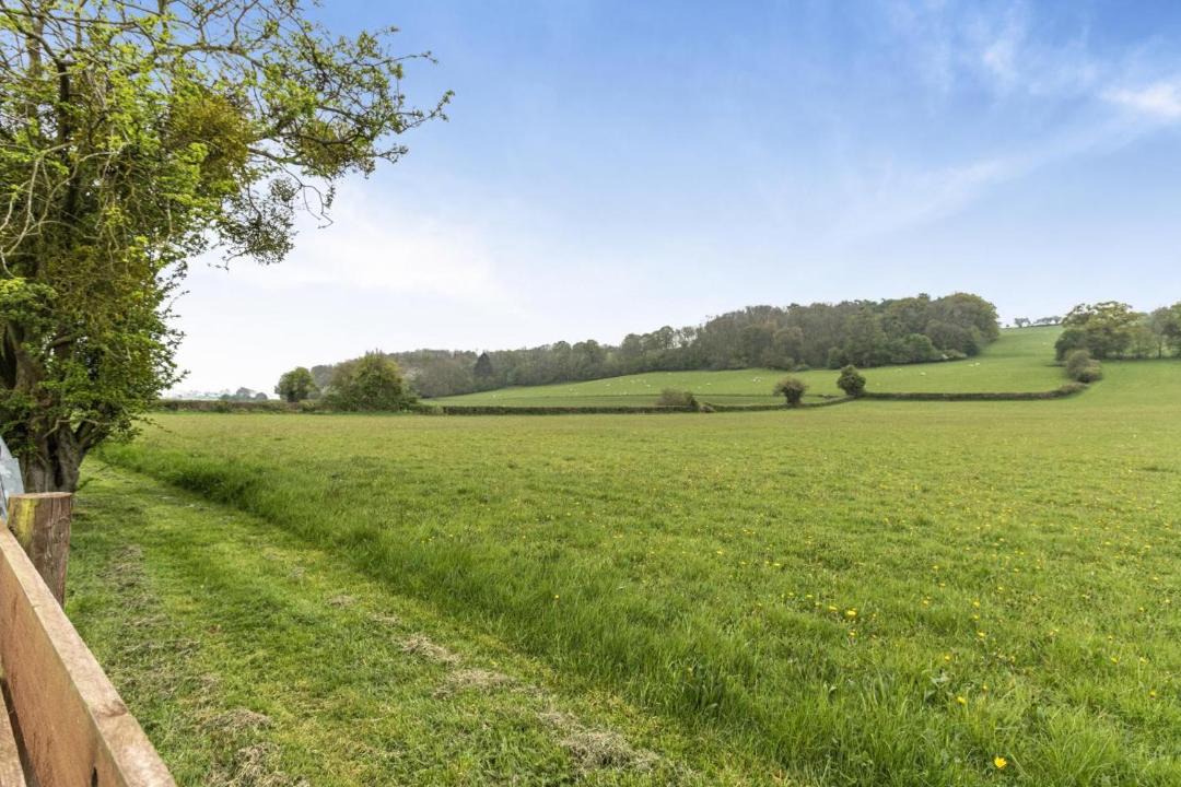 Photo of Others in The Bage