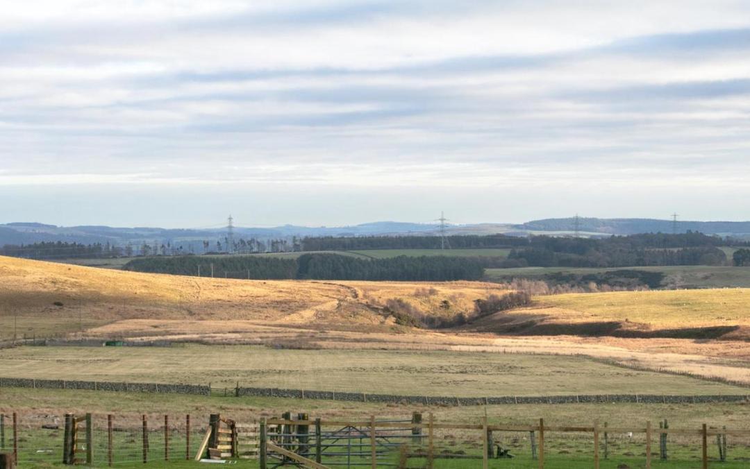 Photo of Others in Old Bewick