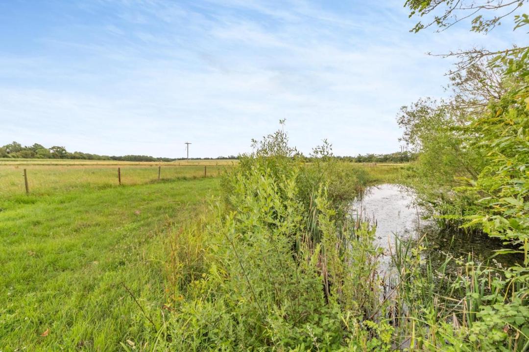 Photo of Others in Bungay