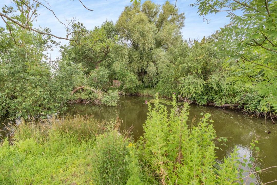 Photo of Others in Bungay