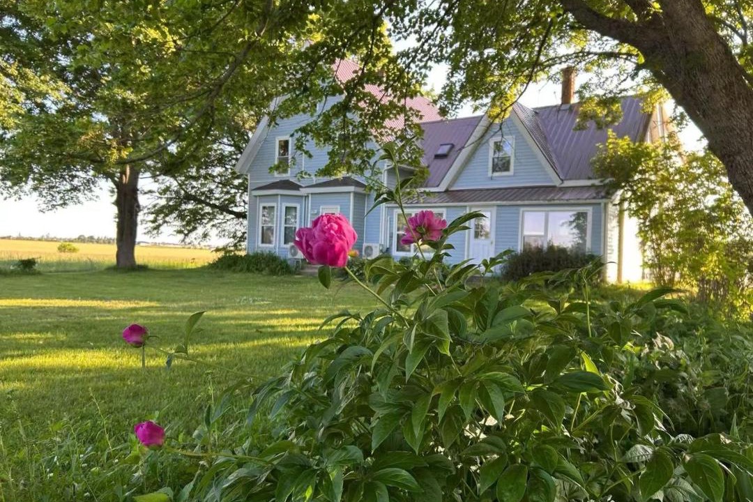 Photo of Others in Borden-Carleton