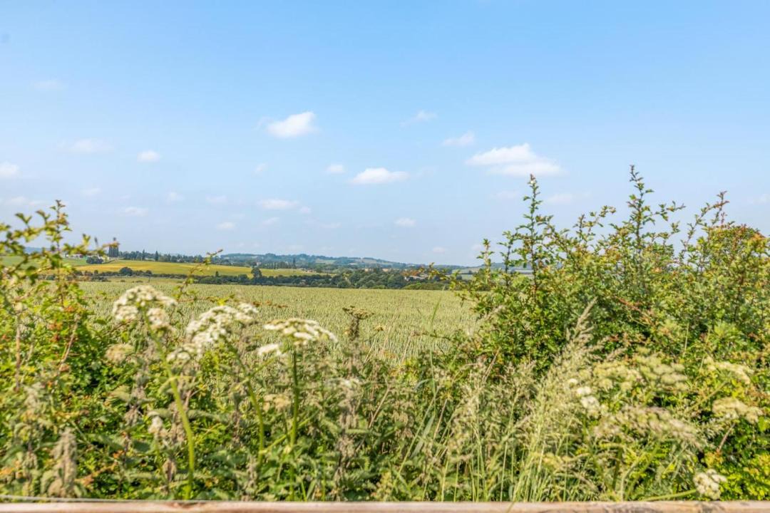 Photo of Others in Flore