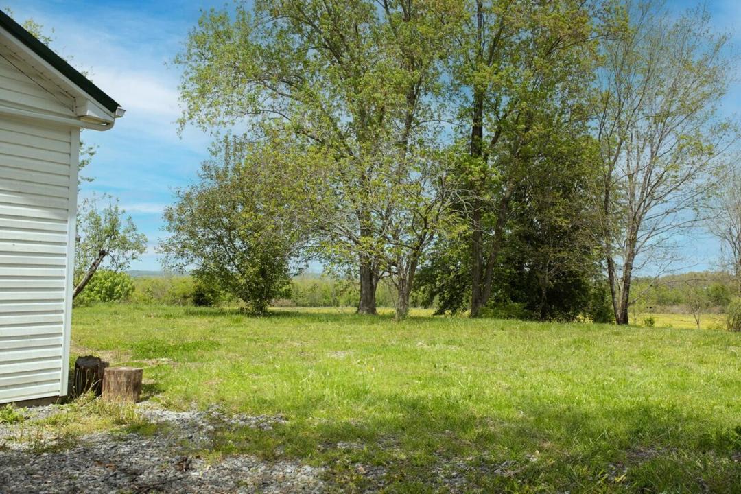 Photo of Others in Mohawk