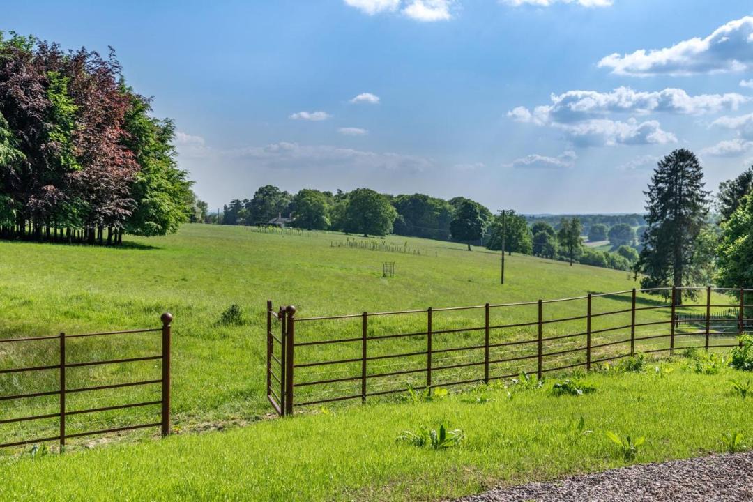 Photo of Others in Tollard Royal