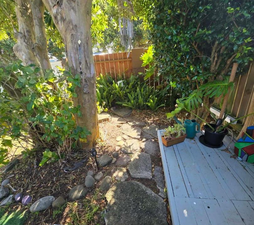 Photo of Others in Waitara