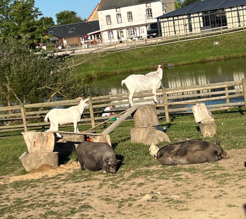 Photo of Others in Litteau