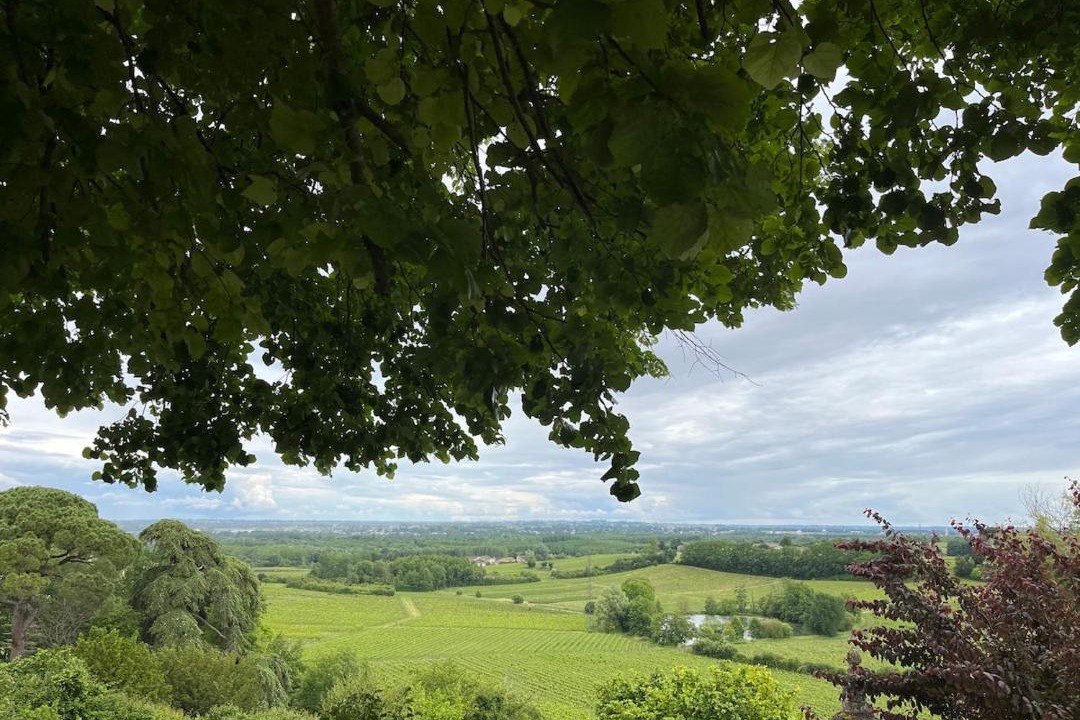 Photo of Others in Fronsac
