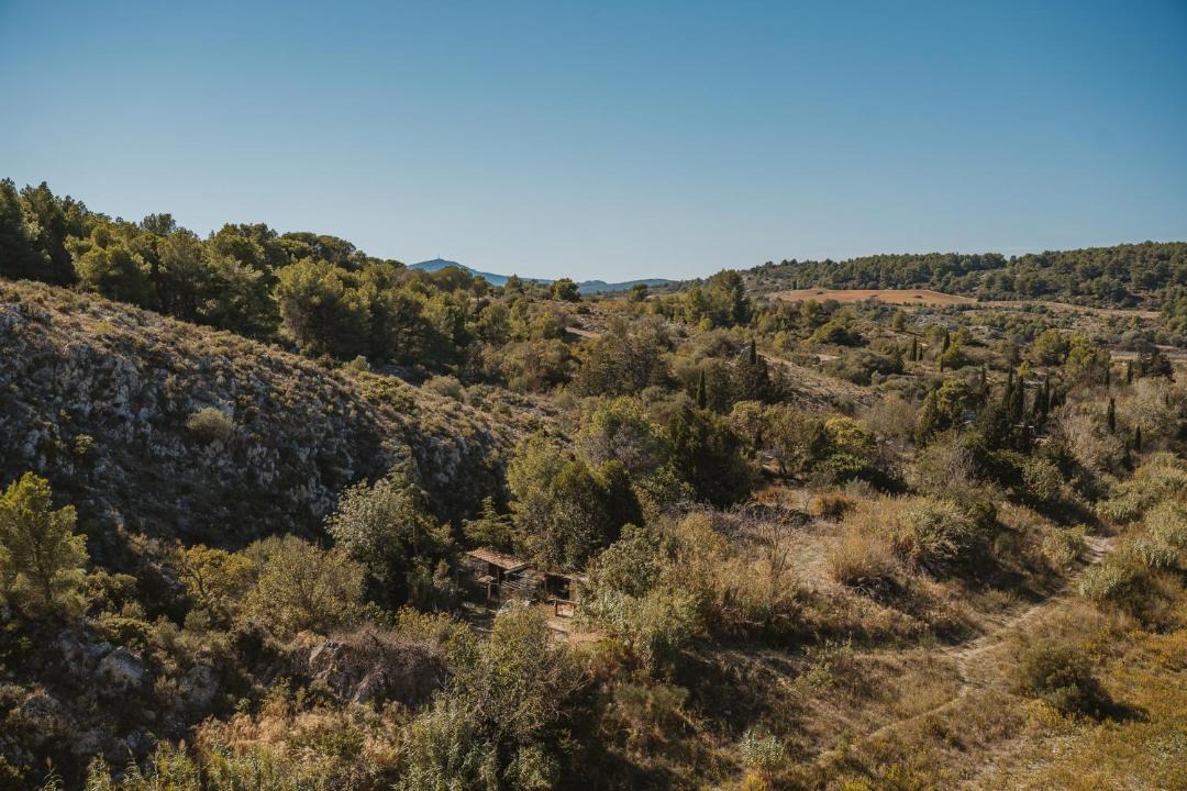 Photo of Others in Portel-des-Corbieres