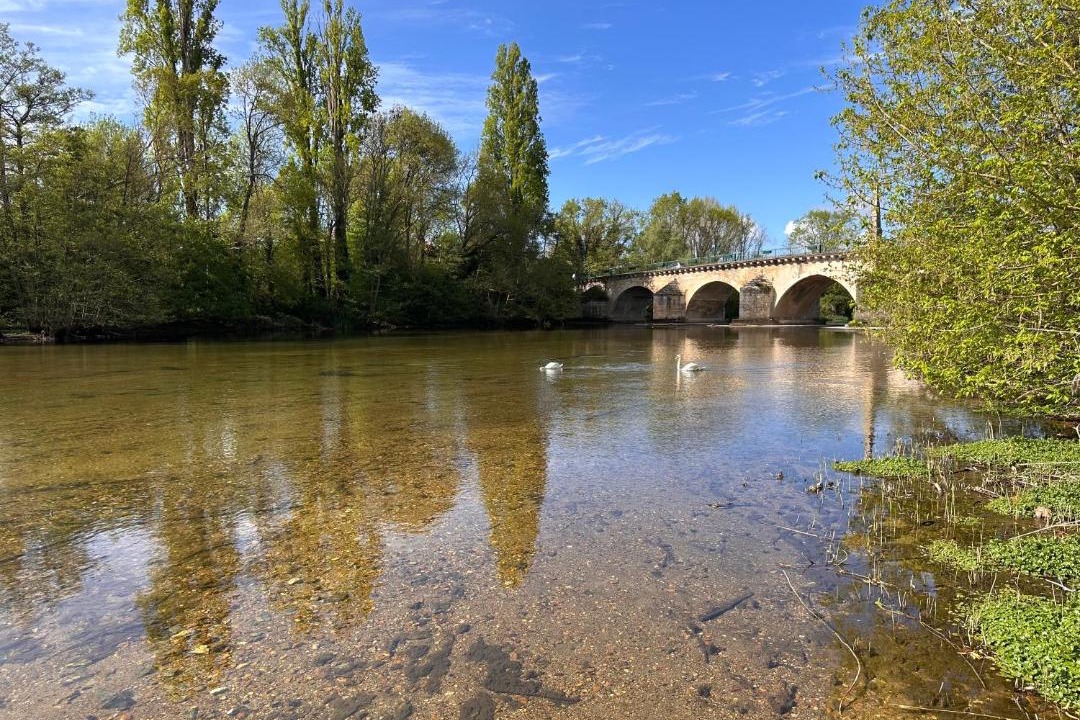 Photo of Others in Saint-Pryve-Saint-Mesmin