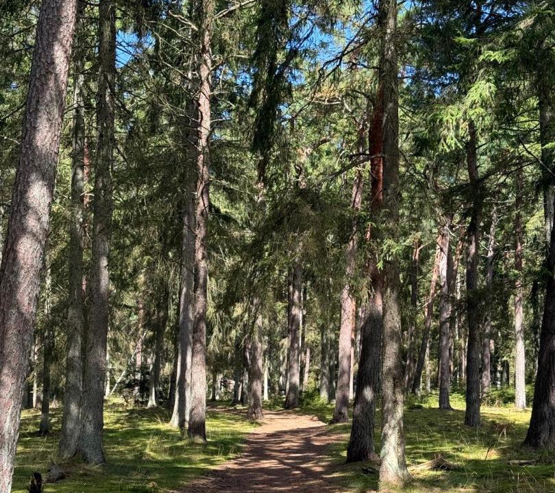 Photo of Others in Frederiksvaerk