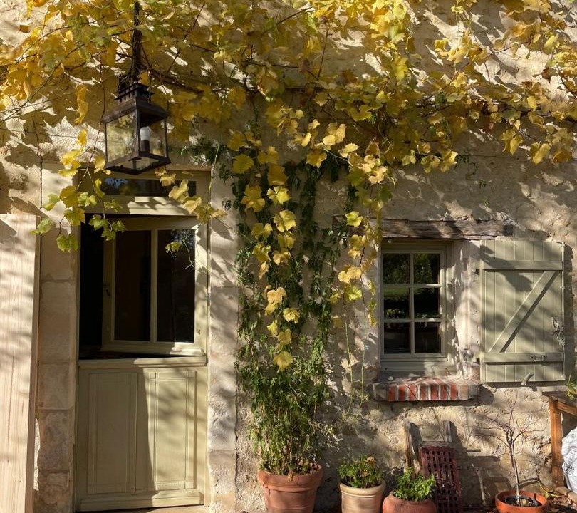 Photo of Others in Vivoin