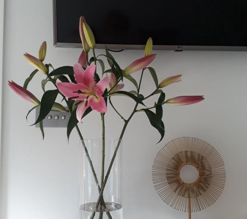 Photo of Others in East Meon