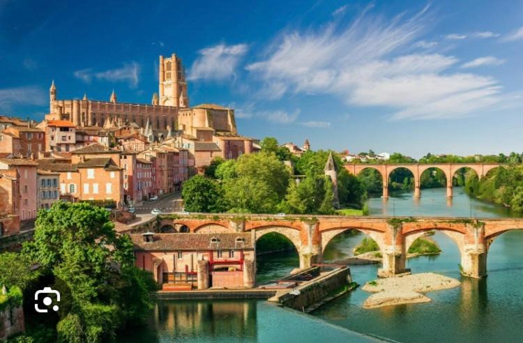 Photo of Others in Albi