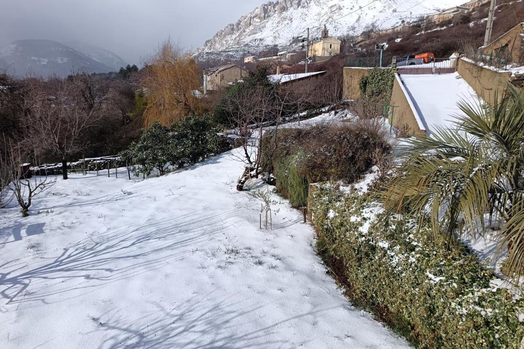 Photo of Others in Albertacce