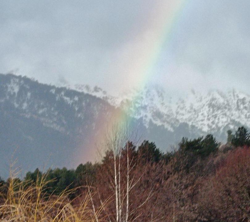 Photo of Others in Albertacce