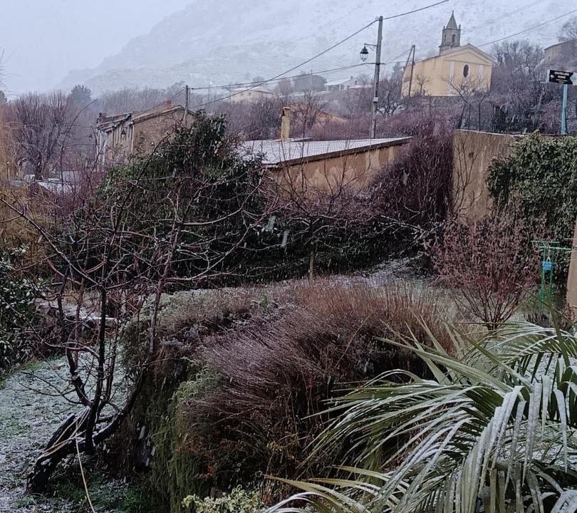 Photo of Others in Albertacce