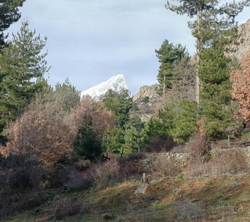 Photo of Others in Albertacce