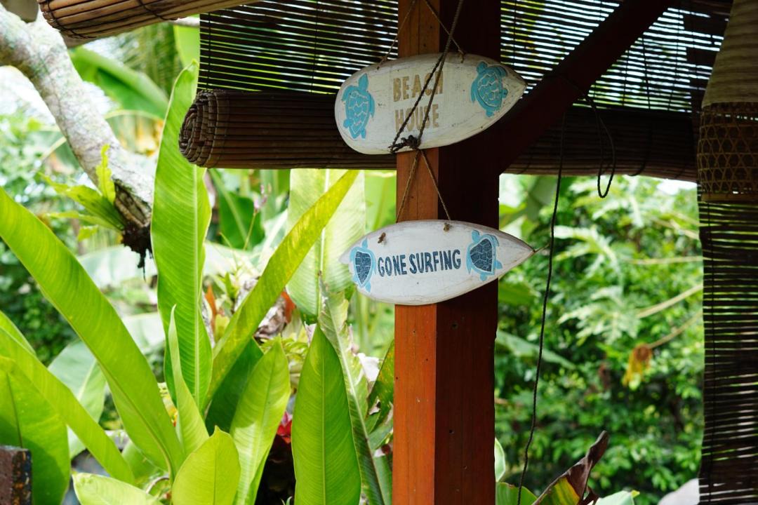 Photo of Others in Medewi