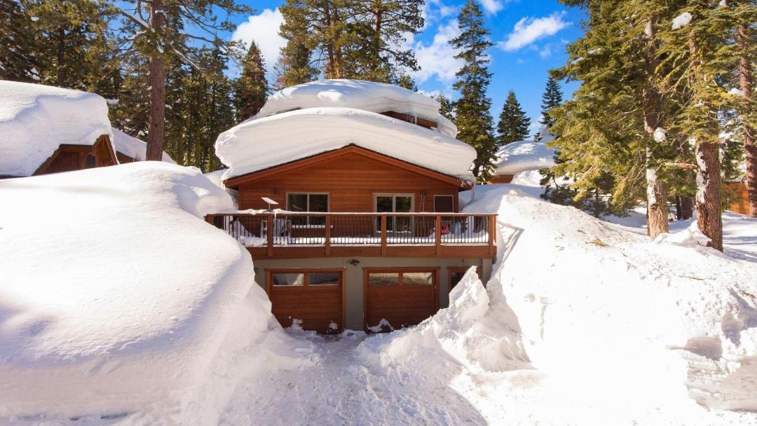 Photo of Others in Alpine Meadows