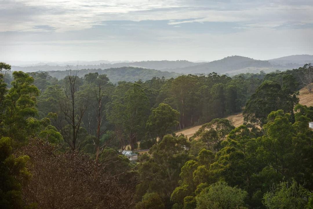 Photo of Others in Monbulk
