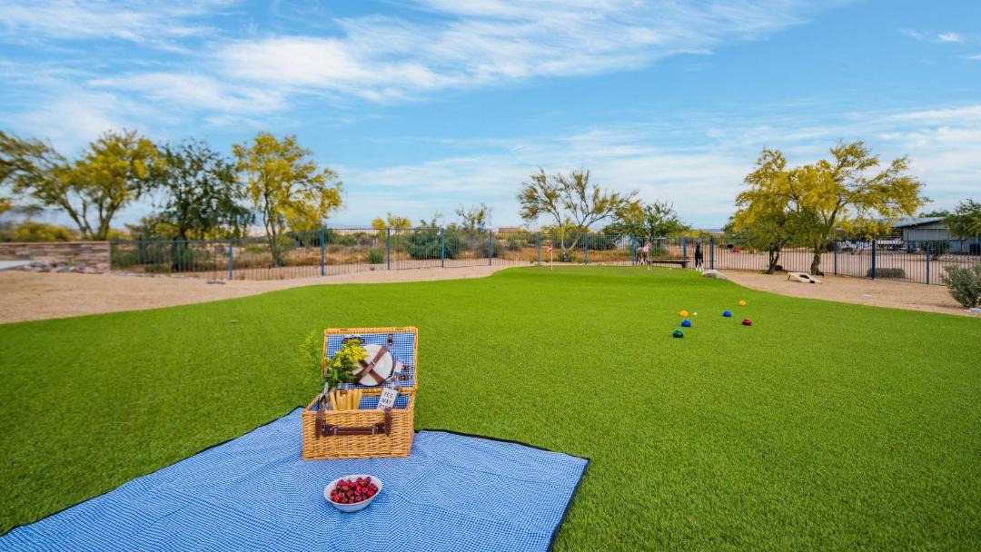 Photo of Others in Rio Verde Foothills