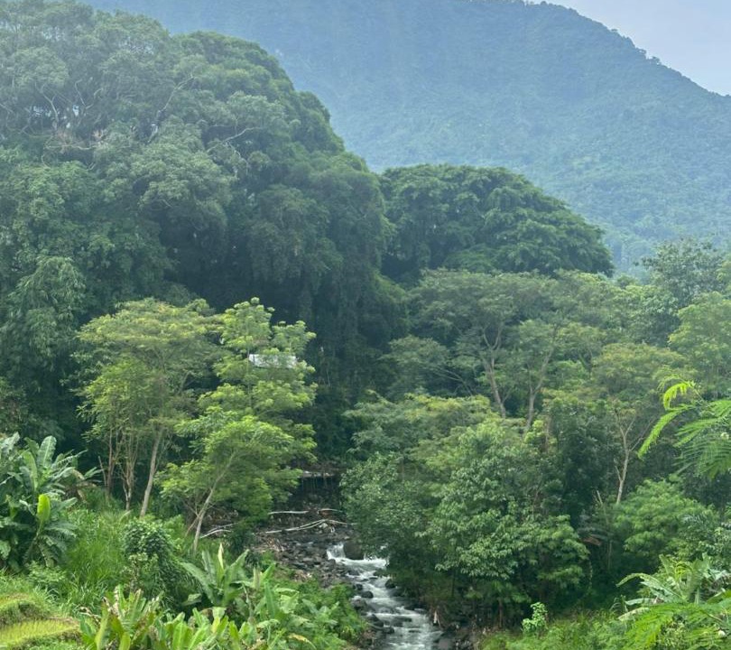 Photo of Others in Purwakerti