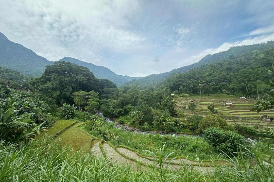 Photo of Others in Purwakerti