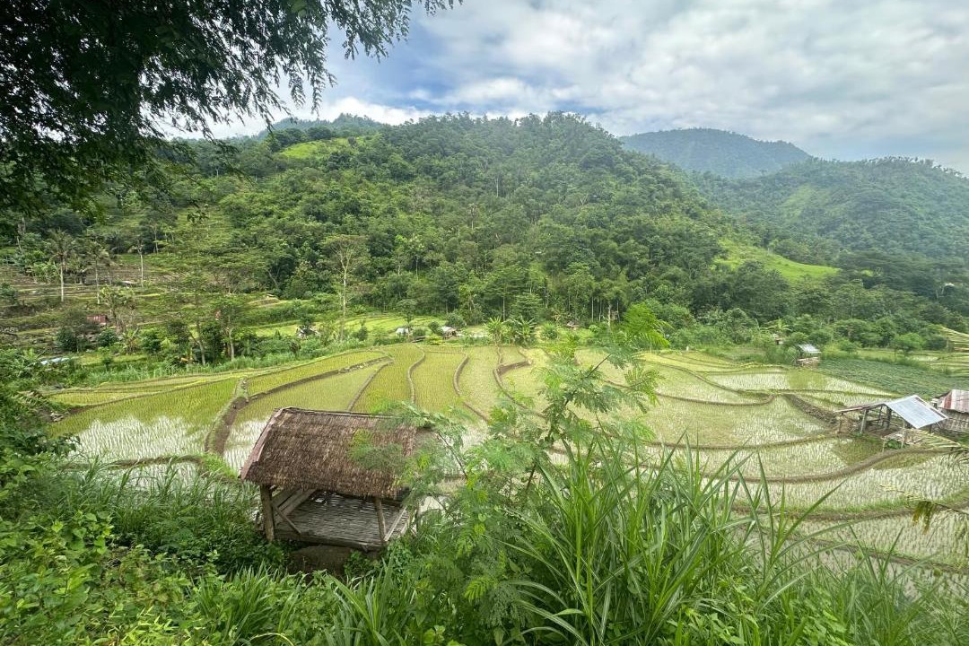 Photo of Others in Purwakerti