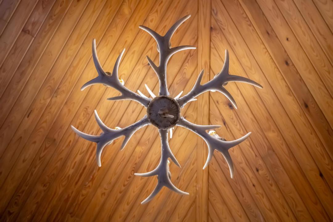 Photo of Others in Manton