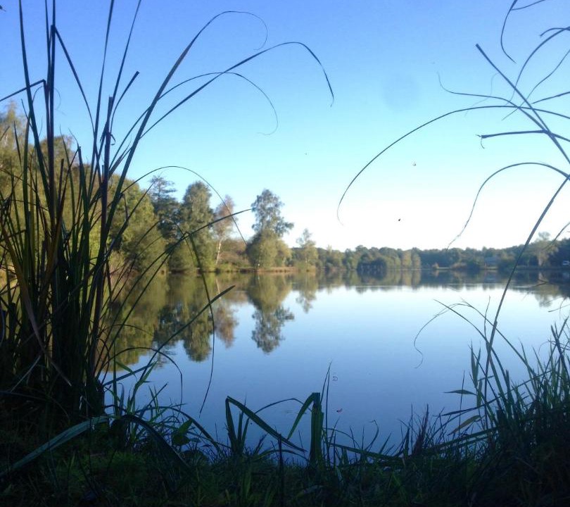 Photo of Others in Coullons