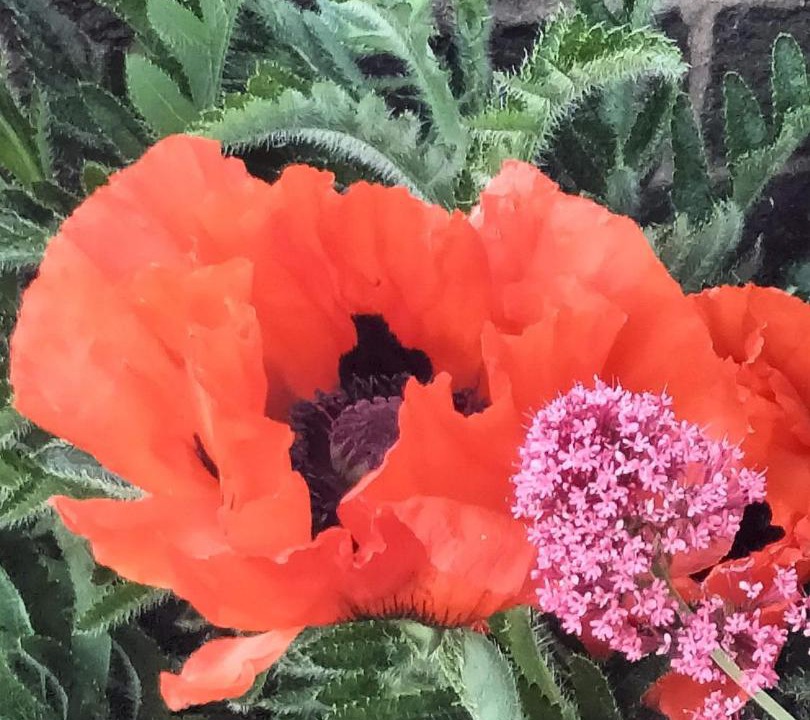 Photo of Others in Crowle