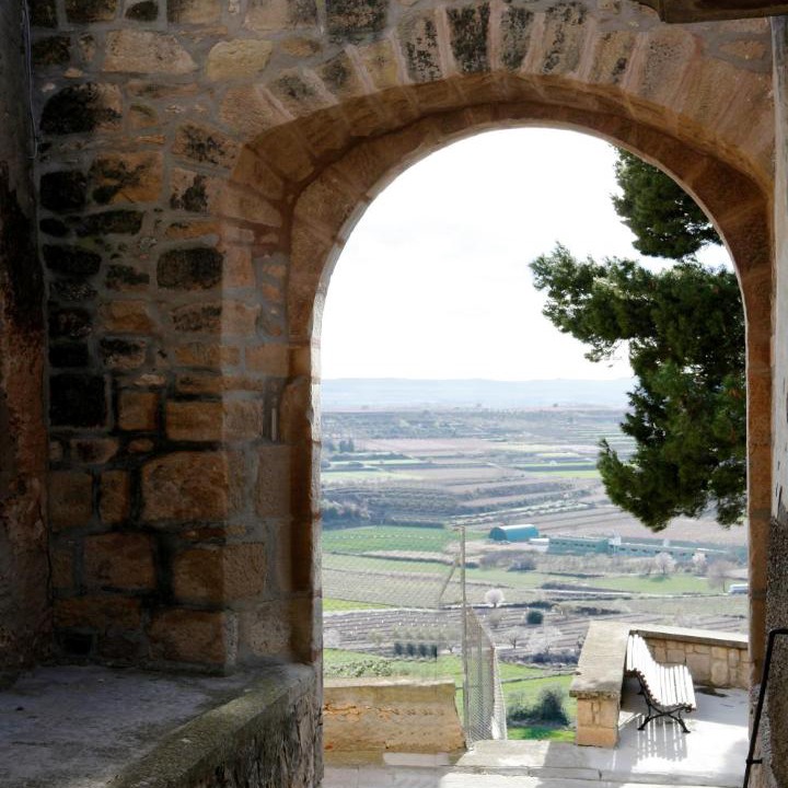 Photo of Others in Puiggros