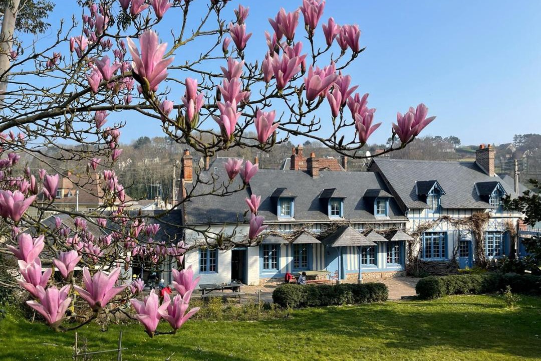 Photo of Others in Saint-Valery-en-Caux