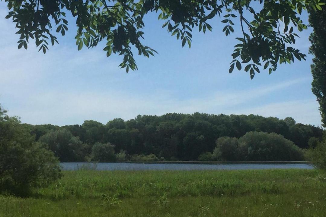 Photo of Others in Bishop Sutton